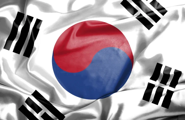 Südkorea schwenkt Flagge — Stockfoto