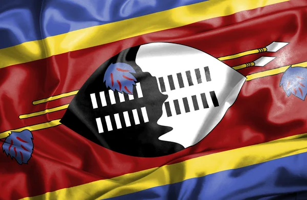 Swaziland vifter med flag - Stock-foto