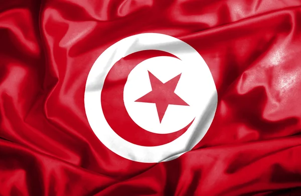 Tunisie agitant le drapeau — Photo