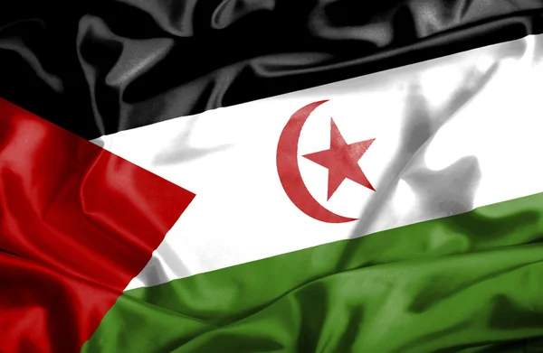 Westsahara schwenkt Flagge — Stockfoto