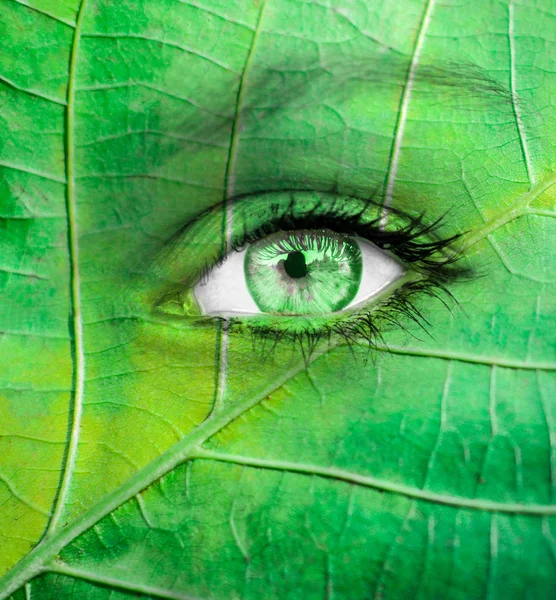 Ojo verde - Concepto de ecología —  Fotos de Stock