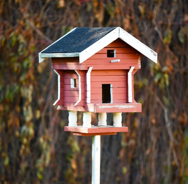 Vecchia casa uccello — Foto Stock