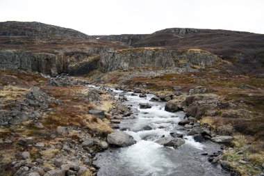 İzlanda şelale ile güzel bir manzara