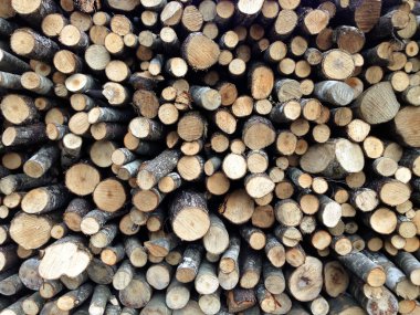 Wood logs background clipart