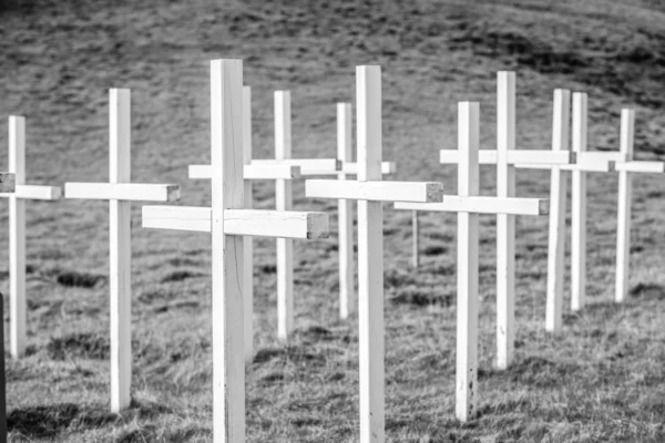 Wooden cross on field — Stock Photo, Image