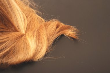 parlak sarı saç siyah izole