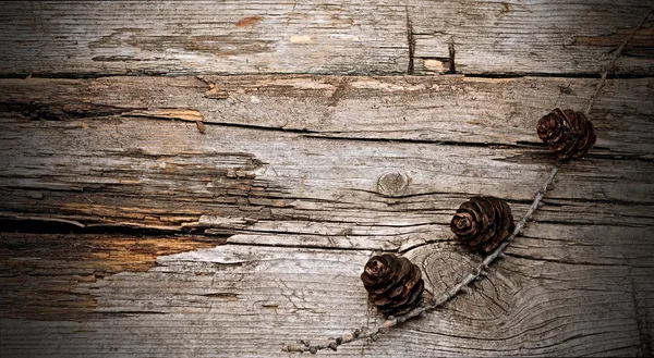 Ramo de abeto em madeira — Fotografia de Stock