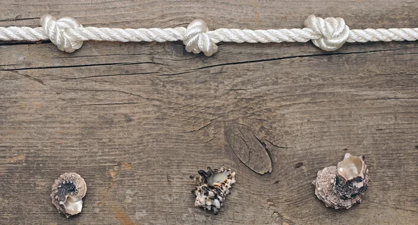 Seil und Muscheln auf verwittertem Holz-Hintergrund — Stockfoto