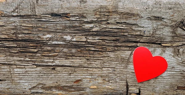 Красное сердце на дереве с пространством для копирования — стоковое фото