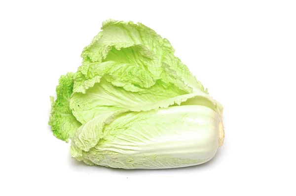 One whole chinese cabbage on a white background — Stock Photo, Image