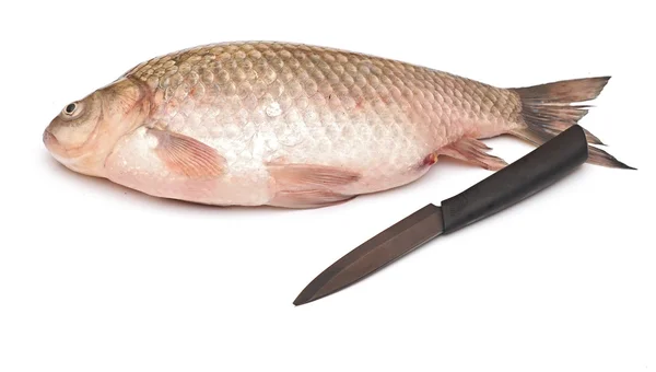 Crucian carp and knife isolated on white background — Stock Photo, Image