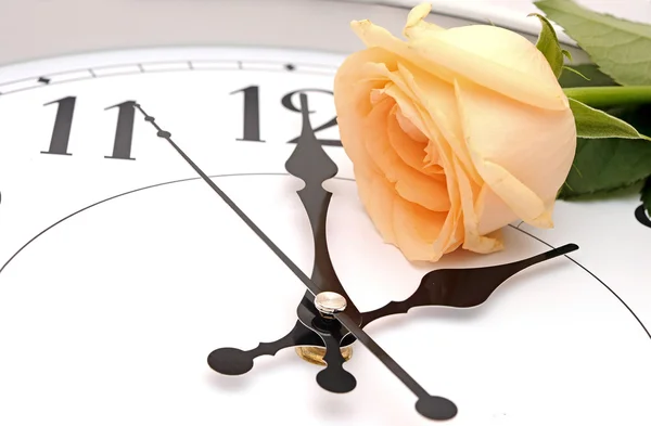 Rose e orologio da parete — Foto Stock