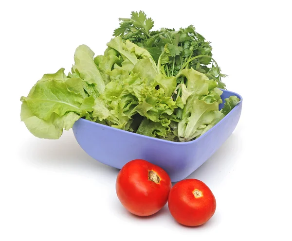 Tabakta taze salata — Stok fotoğraf