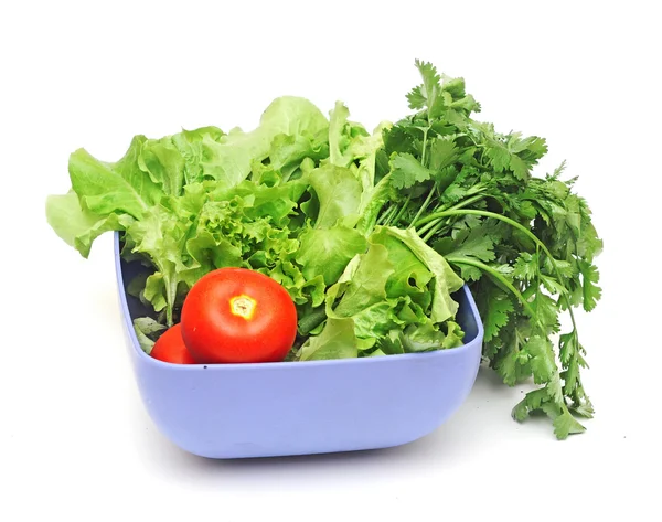 Salat aus Tomaten — Stockfoto