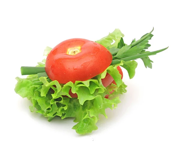 토마토 야채 양상추 샐러드와 흰색 배경에 고립 — 스톡 사진