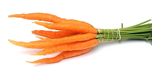 Isolated bunch of carrots — Stock Photo, Image