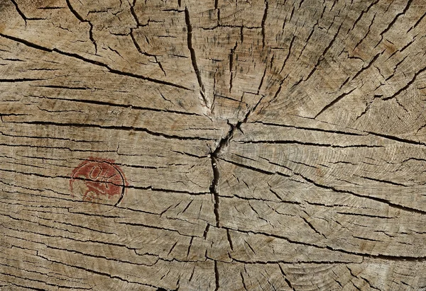 Abstracte spleet hout oude. kan worden gebruikt als achtergrond — Stockfoto