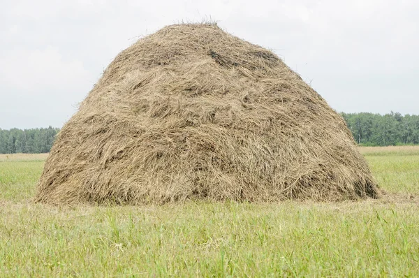 Old traditional hay stacks, typical rural scene — Stock Photo, Image