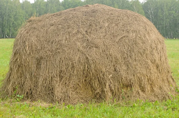 Vieilles meules de foin traditionnelles, scène rurale typique — Photo