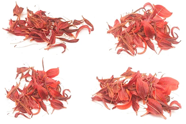 Collection withered lily petals — Stock Photo, Image