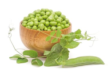 Beyaz arka plan üzerinde izole yeşil yaprak taze bezelye