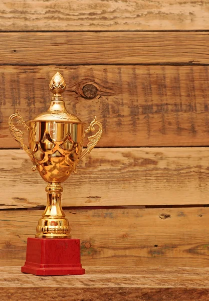 Gold cup over wooden background — Stock Photo, Image