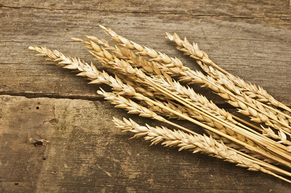 Autumn wheat on old wood texture. Abstract background — Stock Photo, Image