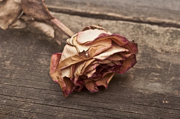 Enkel gedroogd rose op oude houten achtergrond. vintage stijl. — Stockfoto