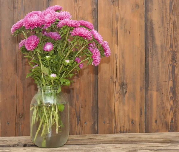 Pink asters flowers bouquet — Stock Photo, Image