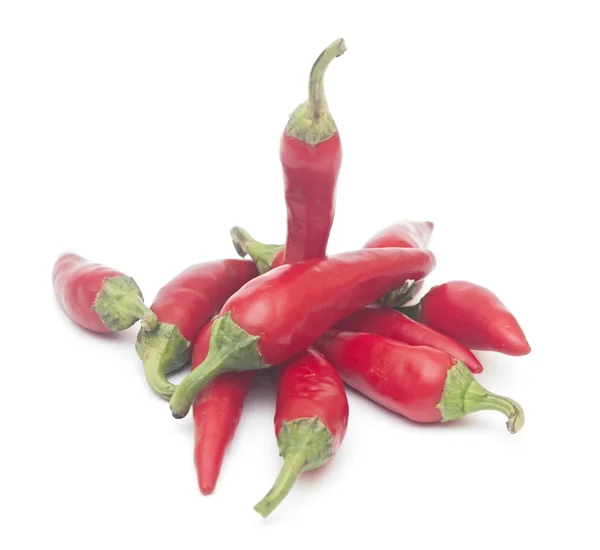 Chili pepper isolated on a white background — Stock Photo, Image