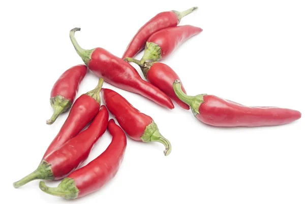 Hot red chili or chili pepper on white background — Stock Photo, Image