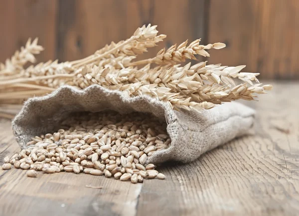 The scattered bag with wheat of a grain on old wooden table — Stock Photo, Image