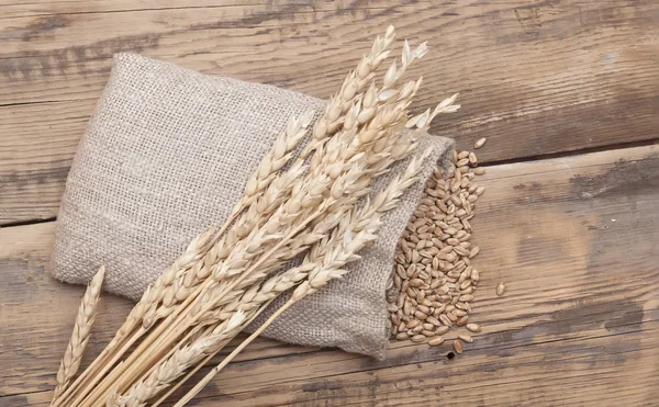 The scattered bag with wheat of a grain on old wooden table — Stock Photo, Image