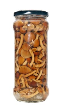 Beyaz backgro üzerinde çeşitli Marine mantar ile Cam Kavanoz