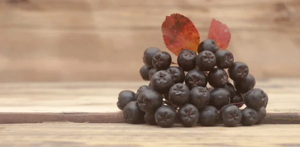 Chokeberry nero (Aronia melanocarpa) bacche con foglie su legno — Foto Stock