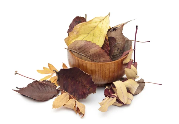 Colorful autumn leaves in wooden bowl isolated on white — Stock Photo, Image