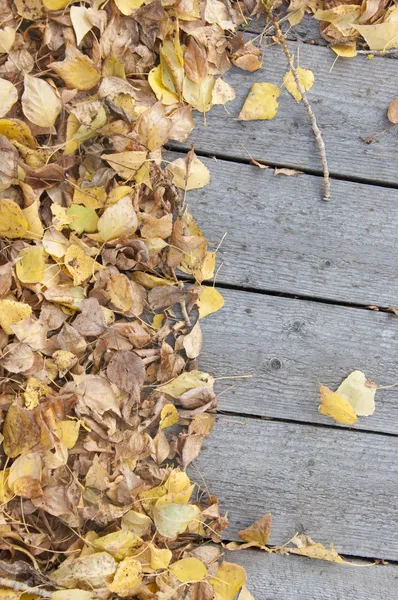 Herfstbladeren op houten achtergrond met kopie ruimte — Stockfoto
