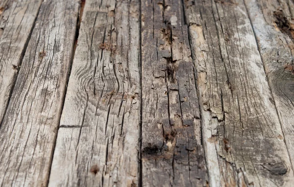 배경으로 사용 된 오래 된 통나무 판자 — 스톡 사진