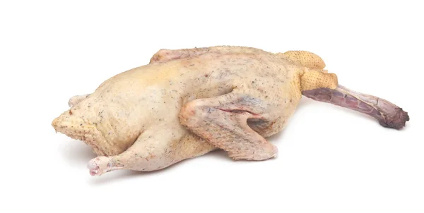 Raw duck on a white background — Stock Photo, Image