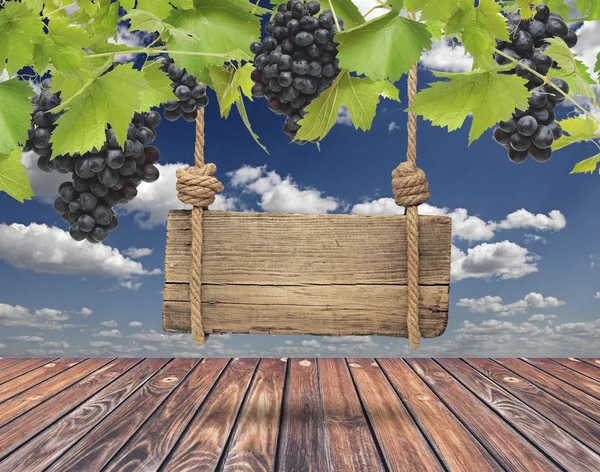 Señal de madera, viñedo con cielo azul y suelo de madera —  Fotos de Stock