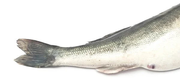 Хвостовая рыба на белом фоне — стоковое фото
