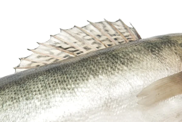 Рыба весит гранж текстуру задний план — стоковое фото