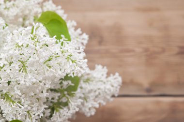 rustik zemin üzerine Eflatun çiçekler 