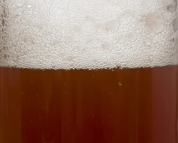 Beer macro — Stock Photo, Image