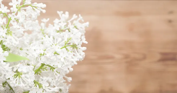 Lilac flowers on rustic background — Stock Photo, Image