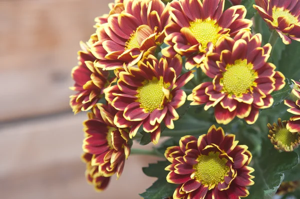 Bouquet of beautiful chrysanthemums on table close-up — Stock Photo, Image