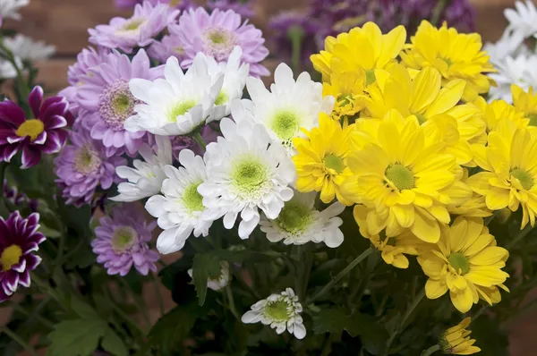 Colorful chrysanthemum bouquet on rustic wooden background — Stock Photo, Image