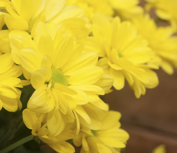 黄色的菊花，木制的背景上 — 图库照片