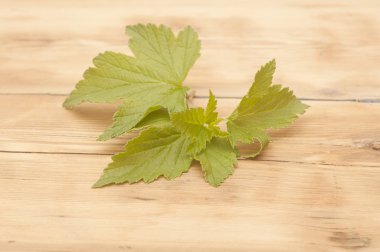 eski ahşap masa üzerinde Siyah frenk üzümü