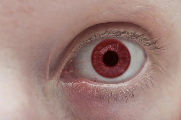 Beau oeil rouge de près — Photo